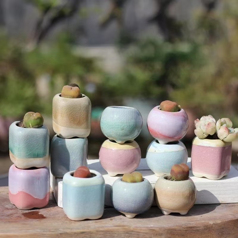 6 個ミニ植木鉢多肉植物小さな多肉植物セラミックス植木鉢ホー - 3D Printing Pot のレビューと価格