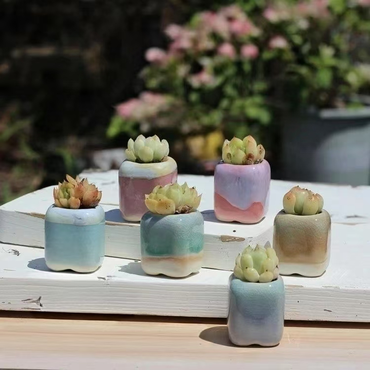 6 個ミニ植木鉢多肉植物小さな多肉植物セラミックス植木鉢ホー - 3D Printing Pot のレビューと価格